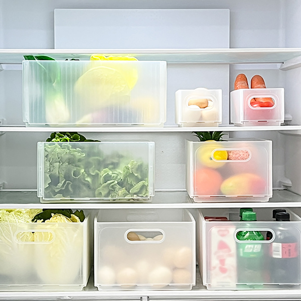 กล่องเก็บของพลาสติกพับได้ WORT - Xxl Food Storage Container บทวิจารณ์และราคา