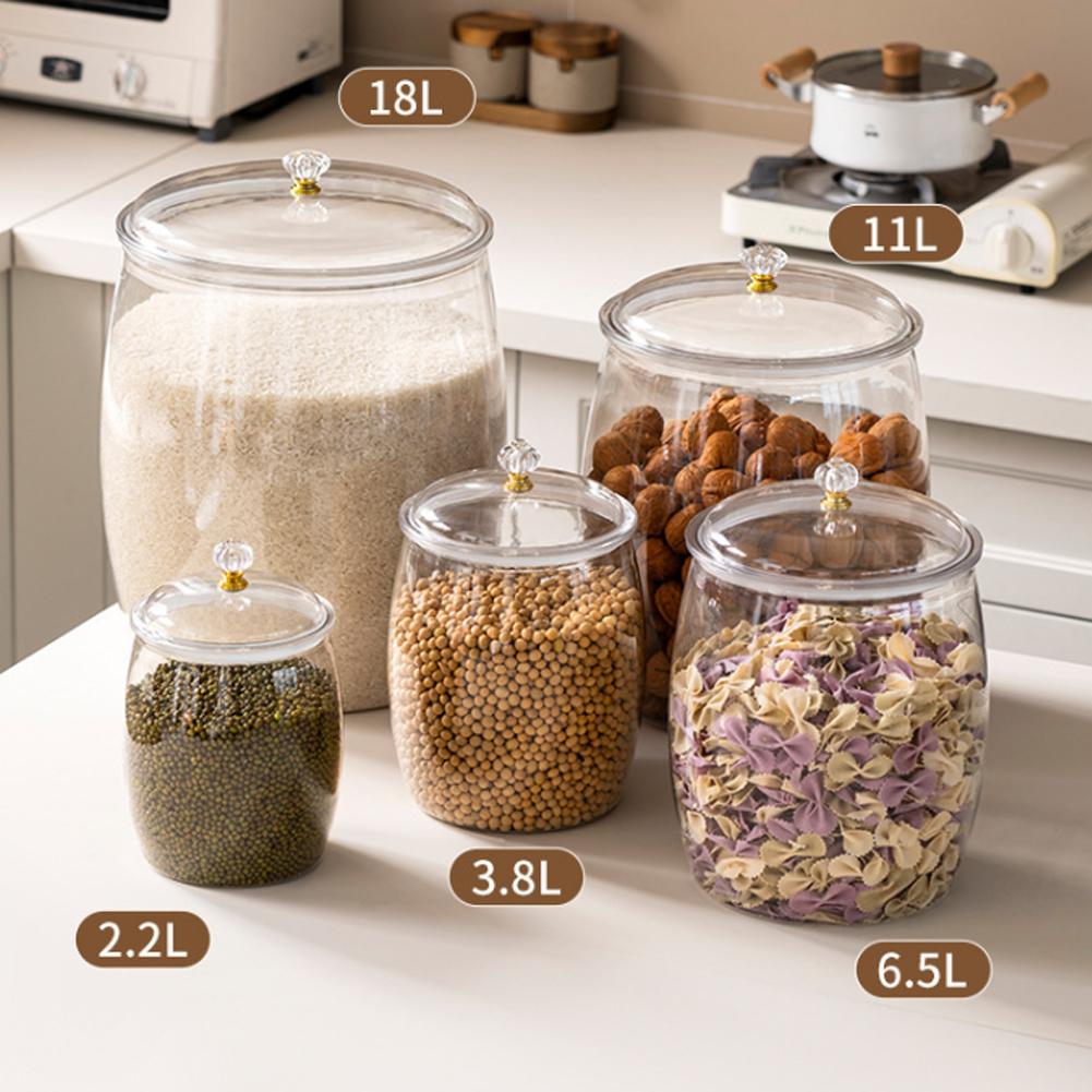 โหลพลาสติกใสขนาดใหญ่พร้อมฝาปิด - Food Storage Large บทวิจารณ์และราคา
