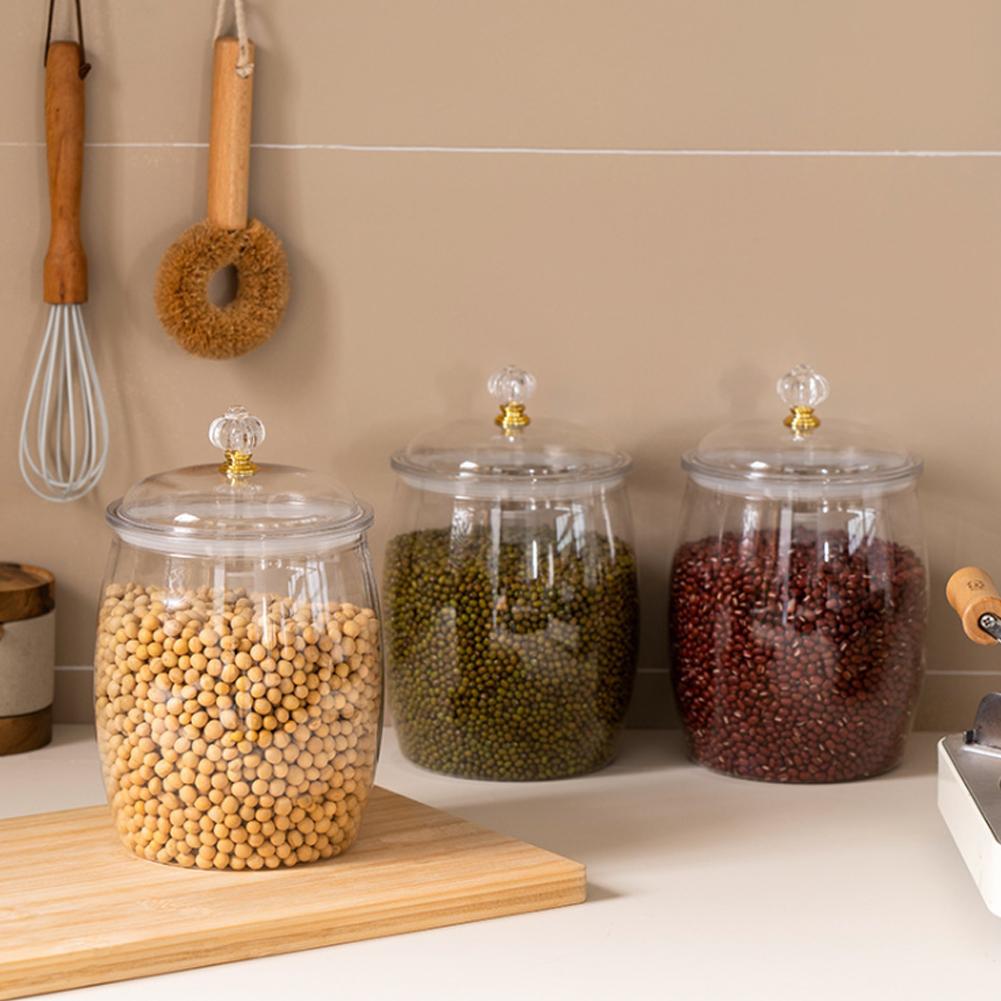 โหลพลาสติกใสขนาดใหญ่พร้อมฝาปิด - Food Storage Large บทวิจารณ์และราคา